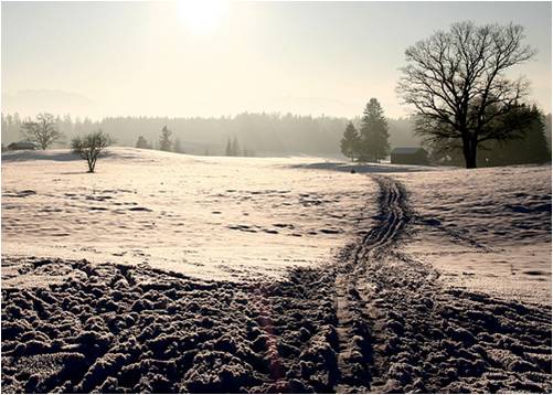 habits are like paths in the snow